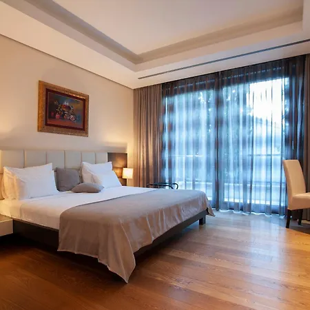 Apartment Alexandar Montenegro Luxury & *